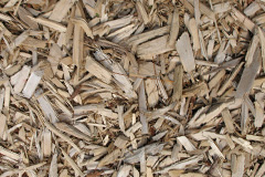 biomass boilers Cutsyke